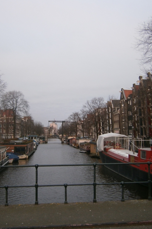 2.5-Hour Amsterdam Sightseeing Tour by Bike - Vondelpark by bike