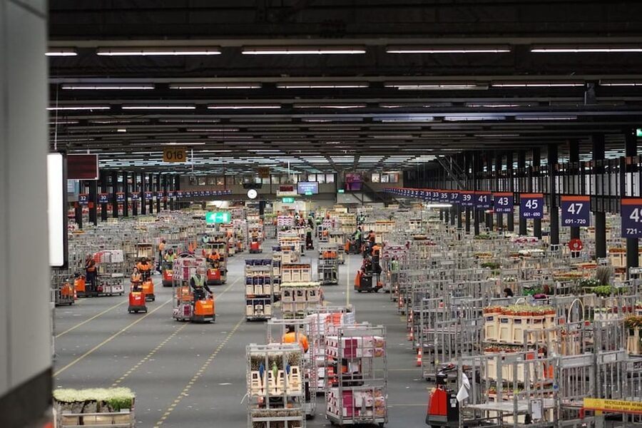 Aalsmeer: Flower Auction Royal Flora Holland Entry Ticket - How to get the most from the visit