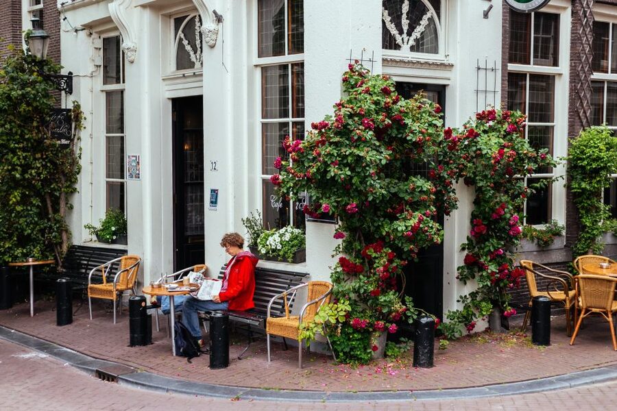 Amsterdam: 1.5-Hour Private Kick-Start Tour with a Local - A Practical Lesson in Getting Around