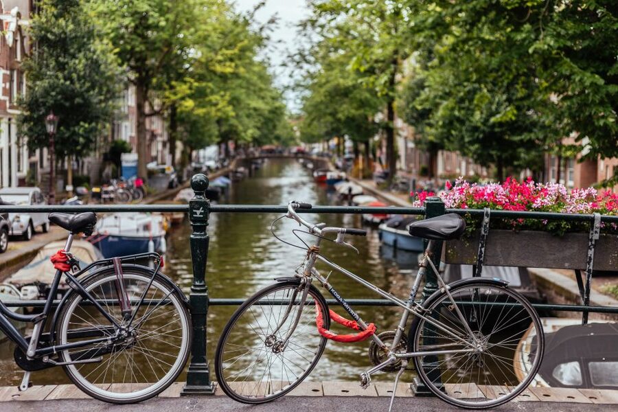 Amsterdam: 1.5-Hour Private Kick-Start Tour with a Local - The Main Risk: Guide Reliability