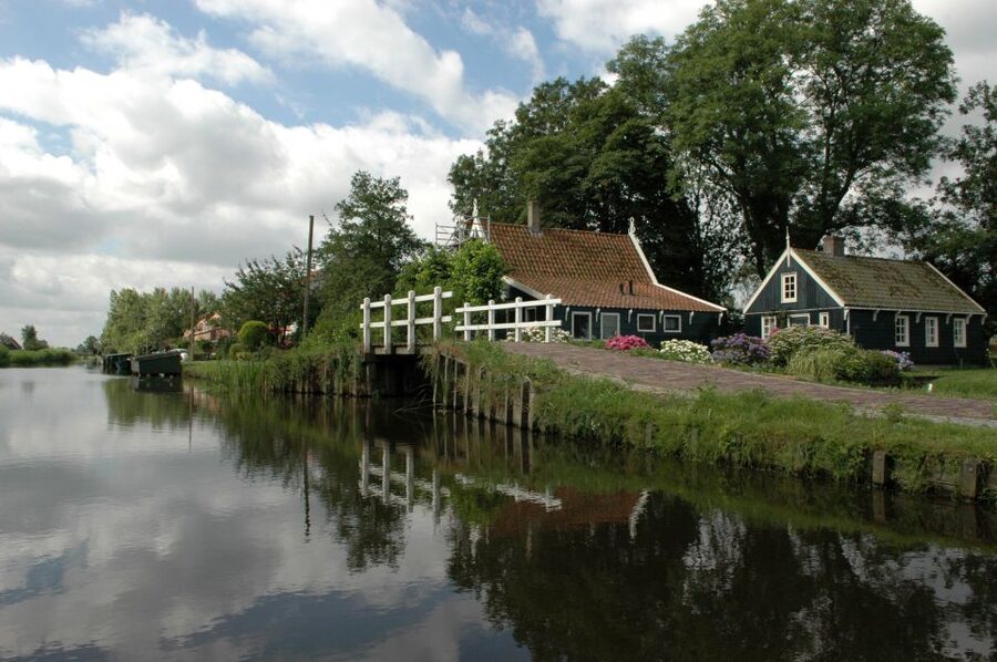 Amsterdam 5-Hour Guided Canoe Trip in the Wetlands - Bird Watching in the Reeds