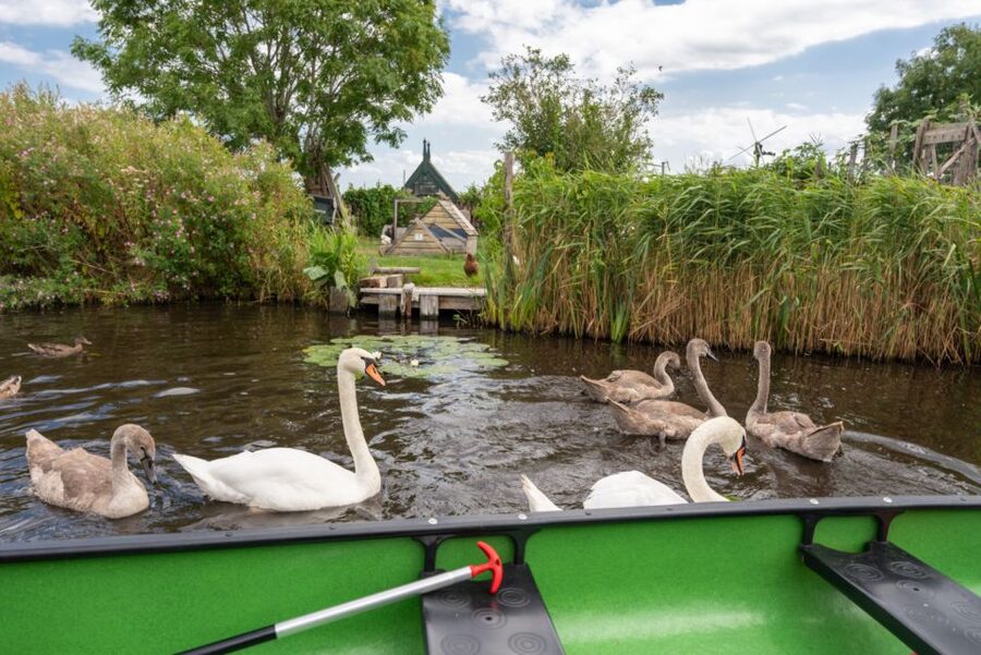 Amsterdam 5-Hour Guided Canoe Trip in the Wetlands - The Island Picnic at Midway