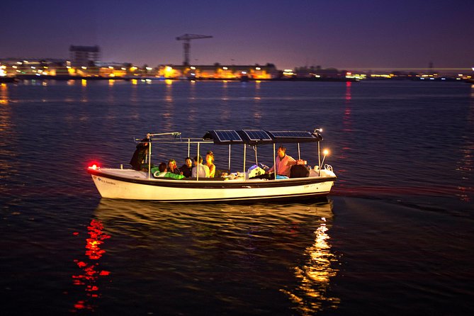 Amsterdam 90-min Private Canal Cruise with Live Guide and Drinks - Out onto the Amstel