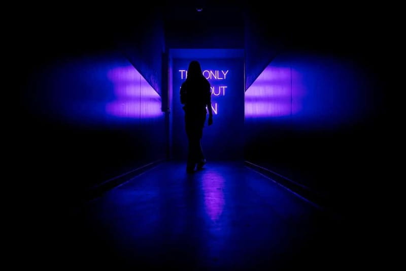 Amsterdam: AMAZE Immersive Audiovisual Experience Ticket - Is $26 good value for AMAZE?