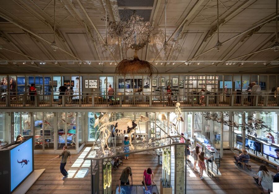 Amsterdam: ARTIS-Groote Museum Entry Ticket - What ARTIS-Groote Museum is trying to show you