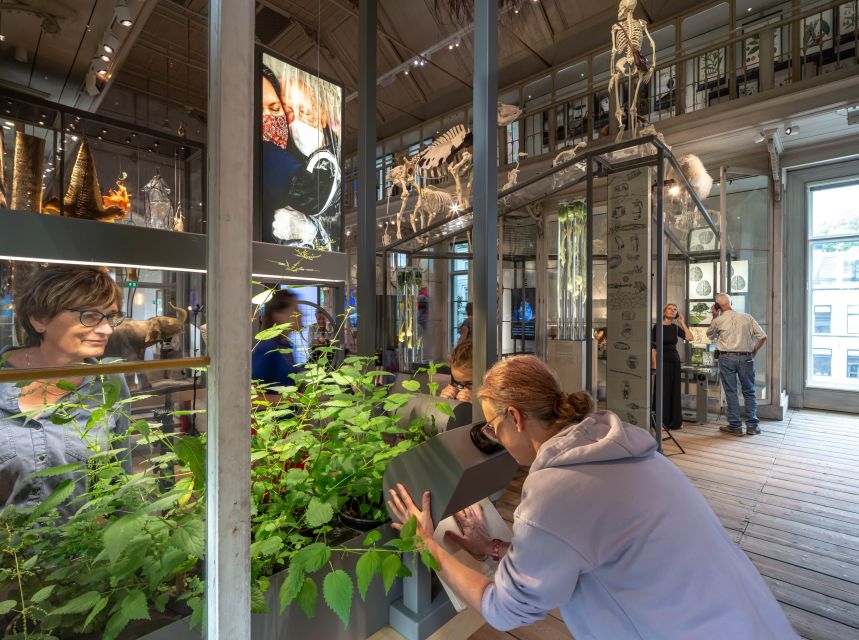 Amsterdam: ARTIS-Groote Museum Entry Ticket - Who will enjoy this museum most