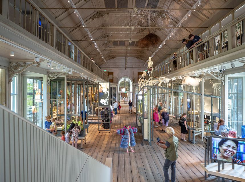 Amsterdam: ARTIS-Groote Museum Entry Ticket - Opening hours and practical planning