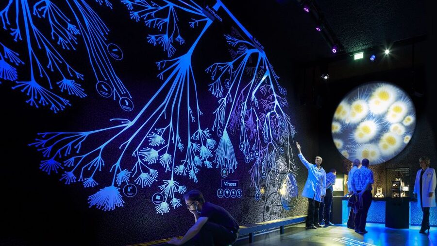 Amsterdam: ARTIS-Micropia Microbe Museum Entry Ticket - How long should you allow?