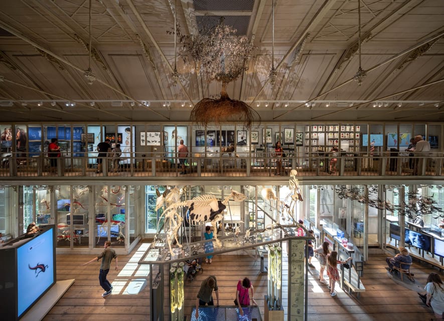 Amsterdam: ARTIS Royal Zoo and ARTIS Groote Museum Ticket - Is $55 a fair price for one day?