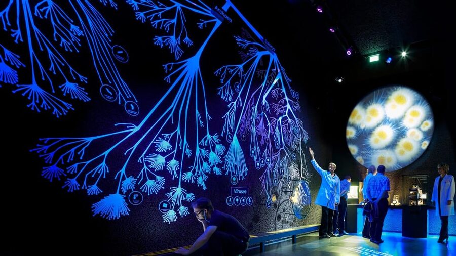 Amsterdam: Artis Royal Zoo & ARTIS-Micropia Combo Ticket - A practical plan for your one-day ticket