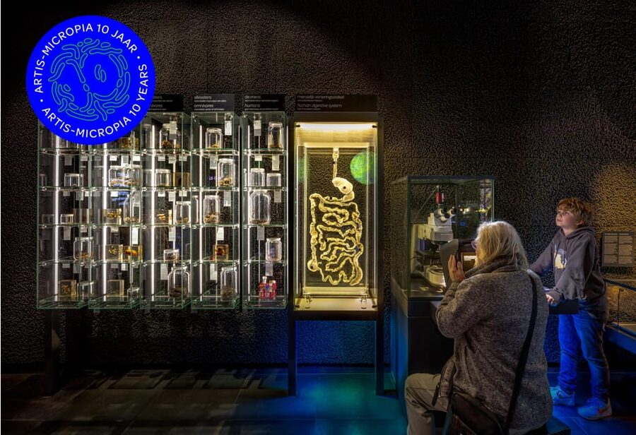 Amsterdam: Artis Royal Zoo & ARTIS-Micropia Combo Ticket - Is $55 a fair price?