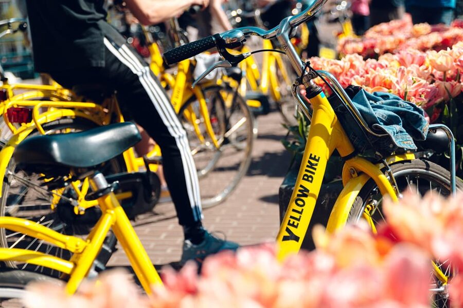 Amsterdam Bike Rental: Central Station & City Center - Key points to know before you pedal away