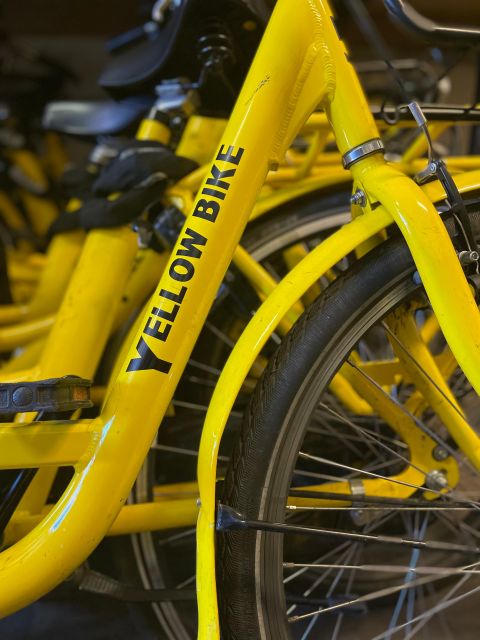 Amsterdam Bike Rental: Central Station & City Center - What the $10 price really includes
