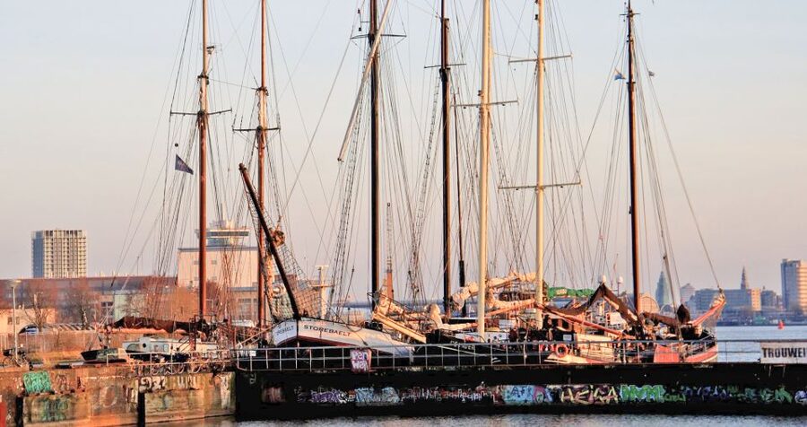 Amsterdam: Bike Tour (Noord) in German or English - Meeting at Sea Palace and crossing the IJ