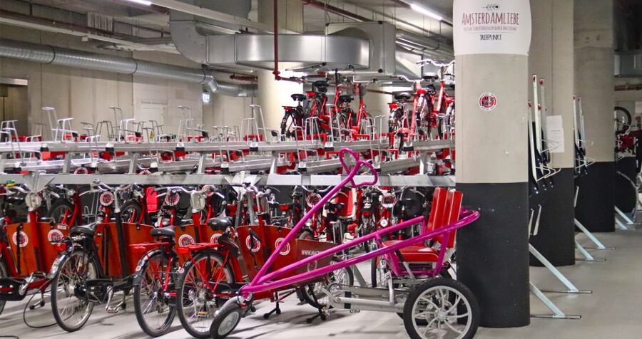 Amsterdam: Bike Tour (Noord) in German or English - What the private format adds