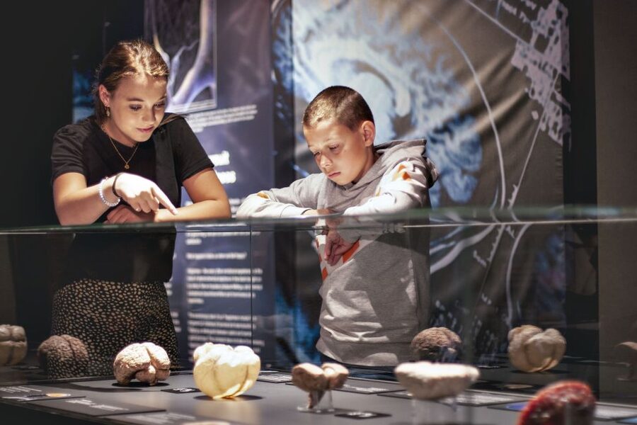 Amsterdam: Body Worlds Exhibition and Canal Cruise - What I like, and what I would change