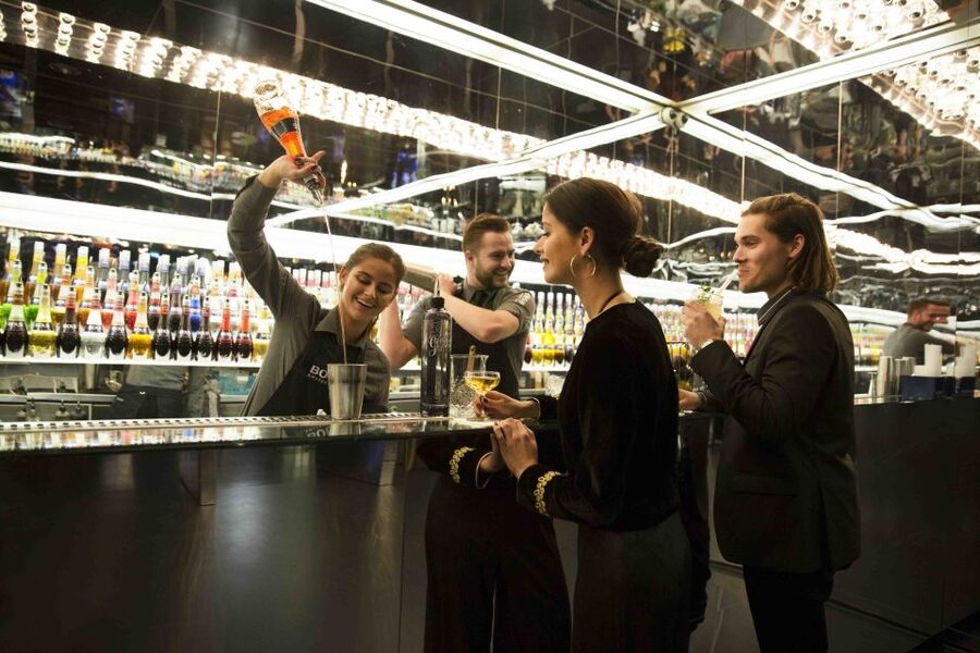 Amsterdam: Bols Cocktail Experience and Cocktail Workshop - The cocktail workshop with a professional bartender