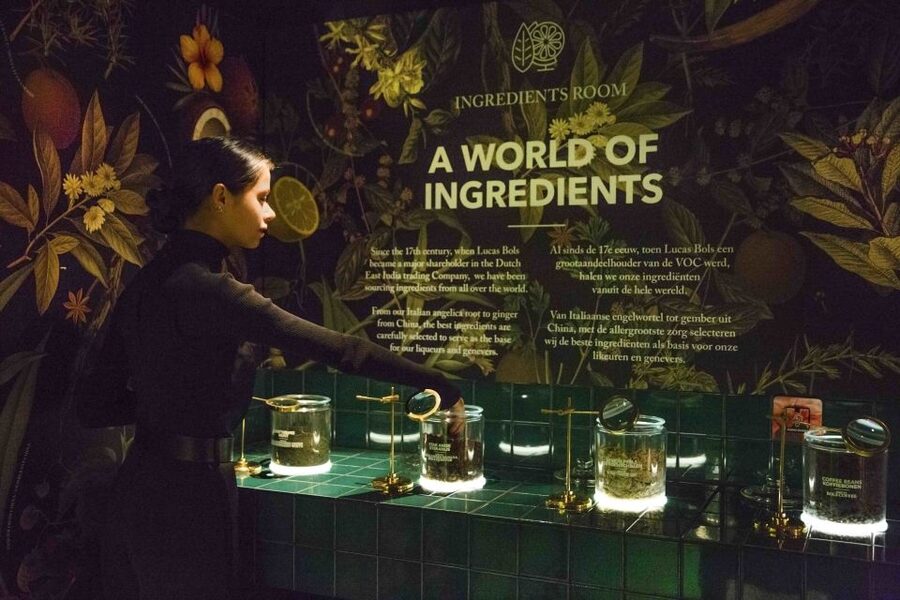 Amsterdam: Bols Cocktail Experience and Cocktail Workshop - Who will enjoy this most