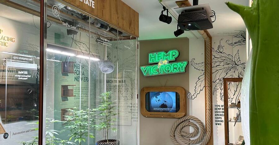 Amsterdam: Cannabis Museum Entry Ticket - What the Cannabis Museum actually offers