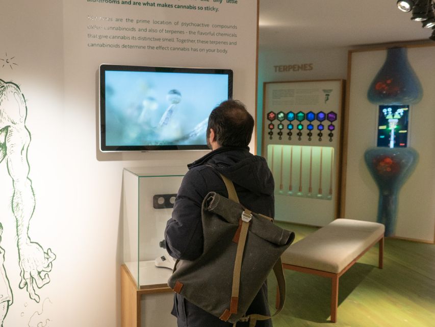 Amsterdam: Cannabis Museum Entry Ticket - Following cannabis from Central Asia to Amsterdam