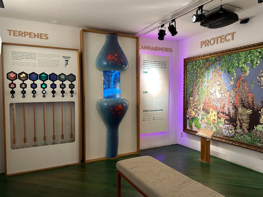 Amsterdam: Cannabis Museum Entry Ticket - Hemp tea, small gifts, and the museum shop