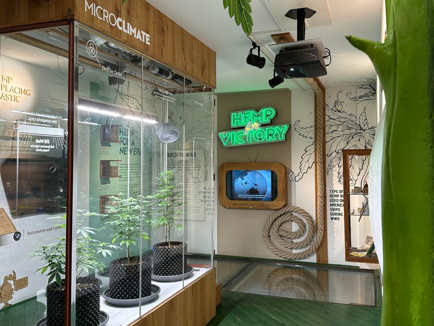 Amsterdam: Cannabis Museum Entry Ticket - Starting with the plant itself