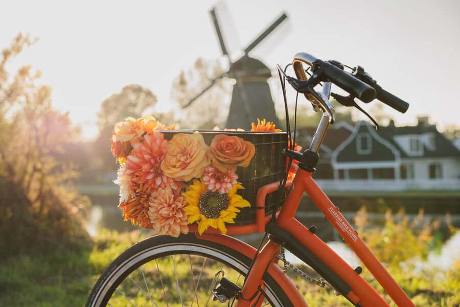 Amsterdam: Cheese, Windmill & Countryside Bike Tour - Guides, bikes, and group care