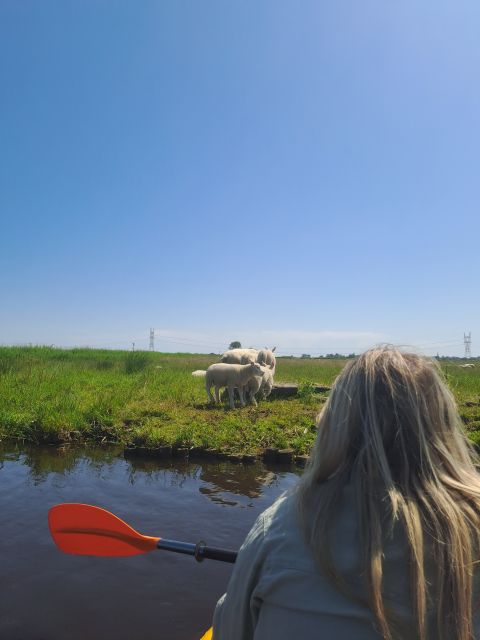 Amsterdam: Countryside Bike and Kayak Guided Tour - Key points at a glance