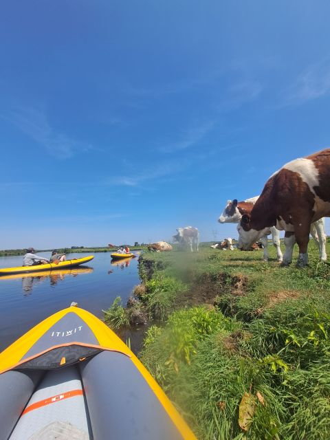 Amsterdam: Countryside Bike and Kayak Guided Tour - Practical advice before you book