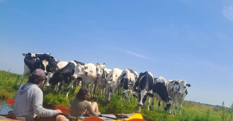Amsterdam: Countryside Bike and Kayak Guided Tour - From ADAM Lookout to open country