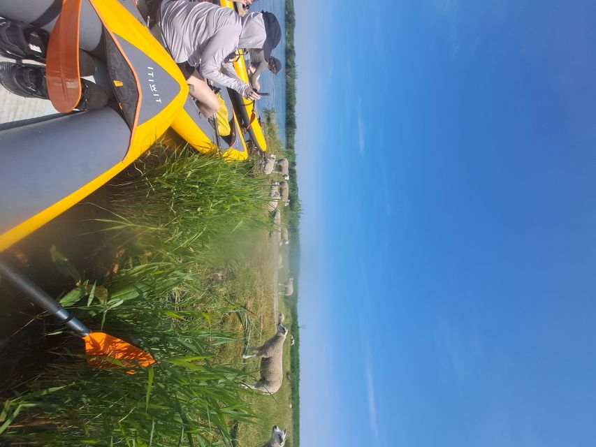 Amsterdam: Countryside Bike and Kayak Guided Tour - The ride back through North Holland