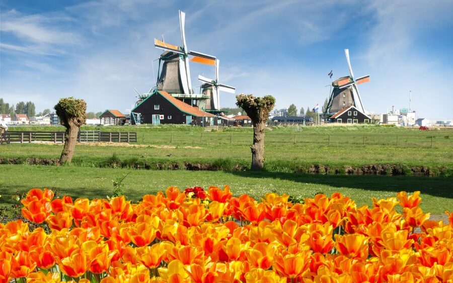 Amsterdam: Day Tour Keukenhof and Zaanse Schans Windmills - Zaanse Schans: windmills, workshops, and Dutch craft