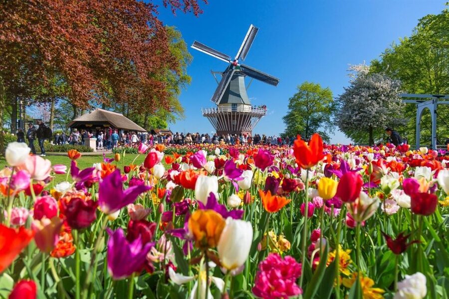 Amsterdam: Day Tour Keukenhof and Zaanse Schans Windmills - Keukenhof: give the gardens the time they deserve