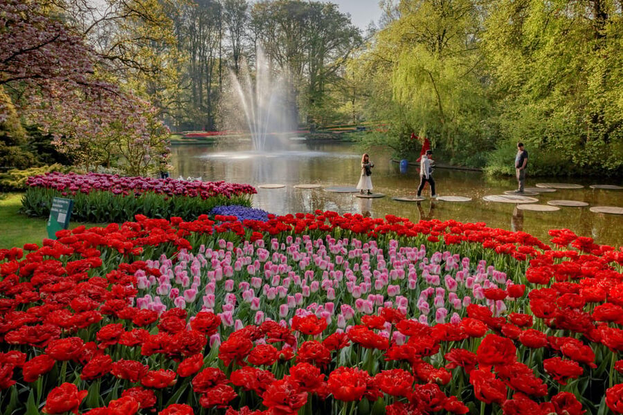 Amsterdam: Day Tour Keukenhof and Zaanse Schans Windmills - What you are really getting: freedom with support