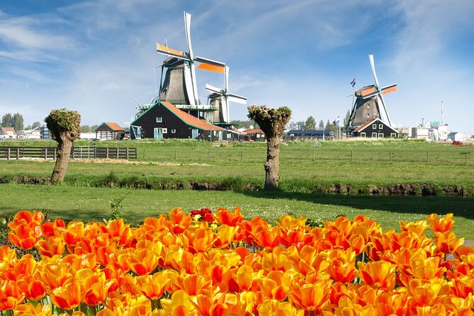 Amsterdam: Day Trip to Keukenhof & Zaanse Schans Windmills - Key points to know before booking