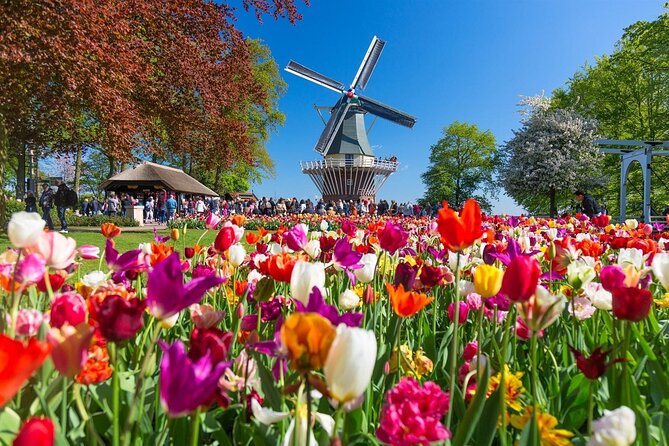 Amsterdam: Day trip to Tulip Farm, Keukenhof + Windmill Cruise - Four hours inside Keukenhof