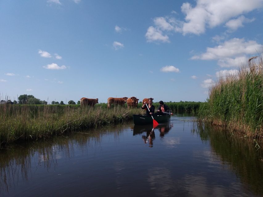 Amsterdam: Dutch Countryside Sunset Canoe Tour - The guide and the small-group atmosphere