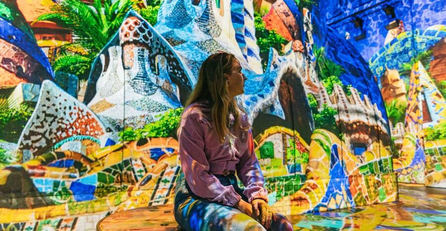 Amsterdam: Fabrique des Lumières Entry Ticket - The $20 price and overall value