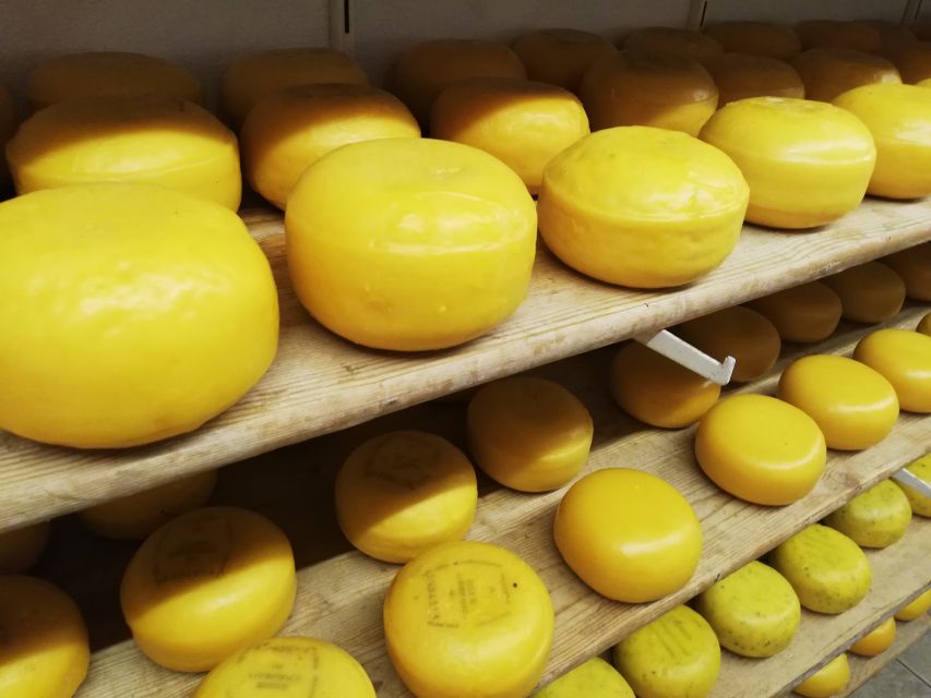 Amsterdam: Full-Day Countryside Tour - Key points at a glance