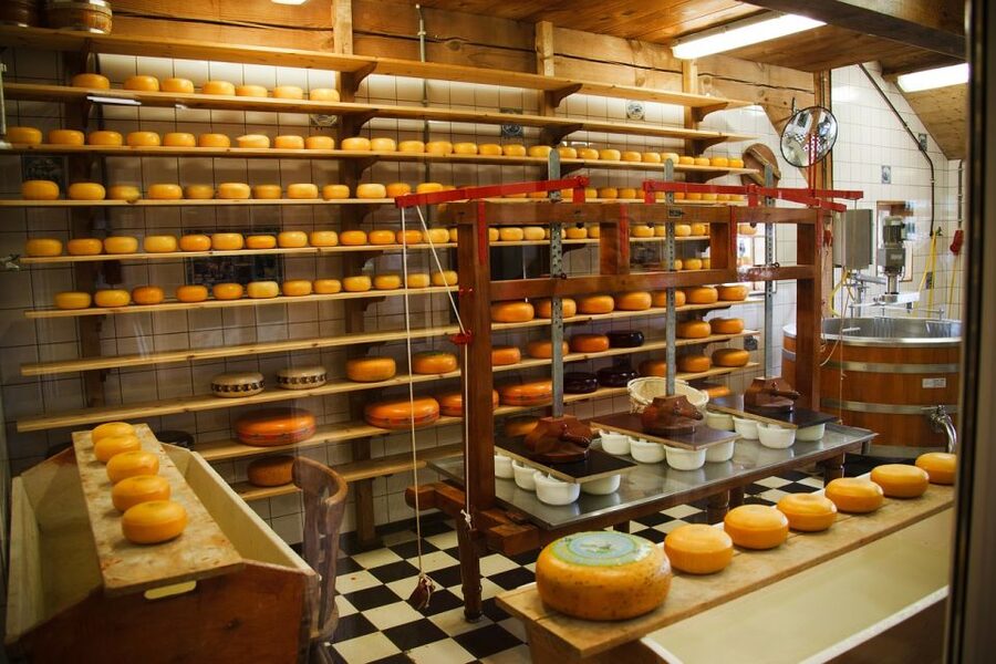 Amsterdam: Giethoorn Tour with Canal Cruise and Windmills - Jacobs Hoeve for cheese and clogs