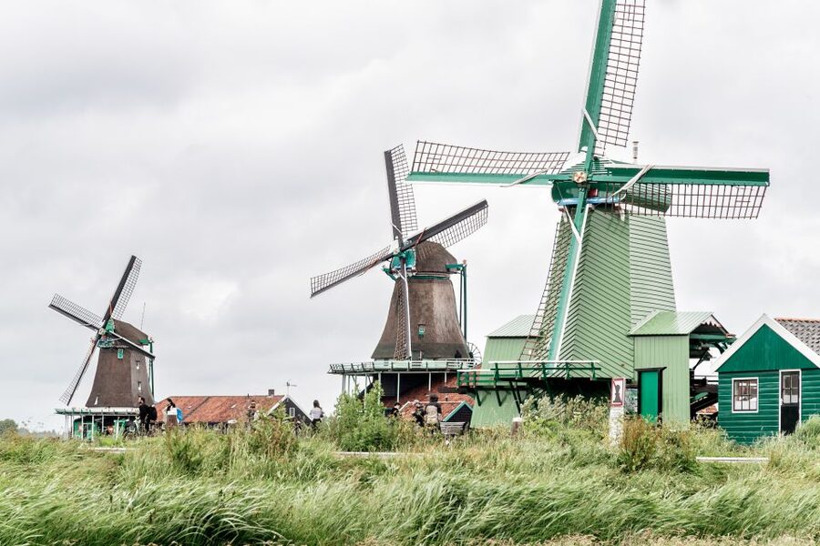 Amsterdam: Guided Zaanse Schans, Windmills & Cheese Tour - Who will get the most from this tour