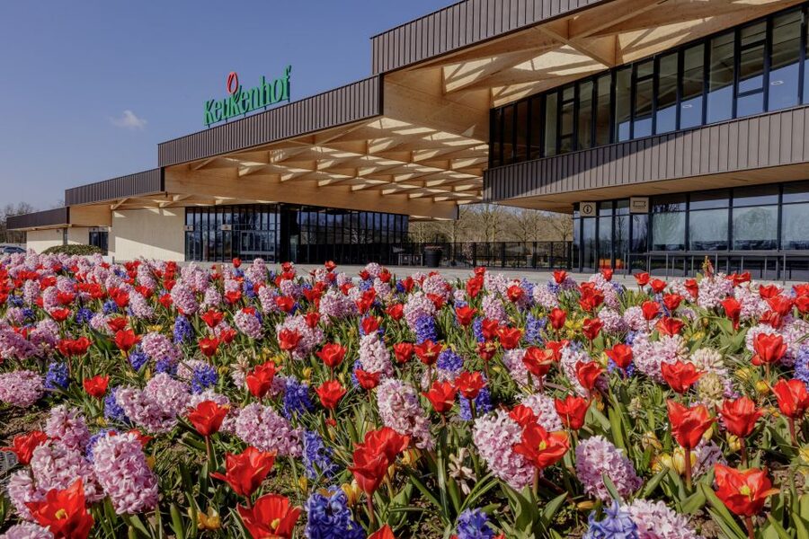 Amsterdam: Half-Day Flower Fields and Keukenhof Bicycle Tour - At a glance