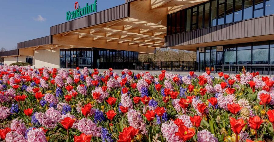 Amsterdam: Half-Day Flower Fields and Keukenhof Bicycle Tour - From Amsterdam Central Station to the bulb fields