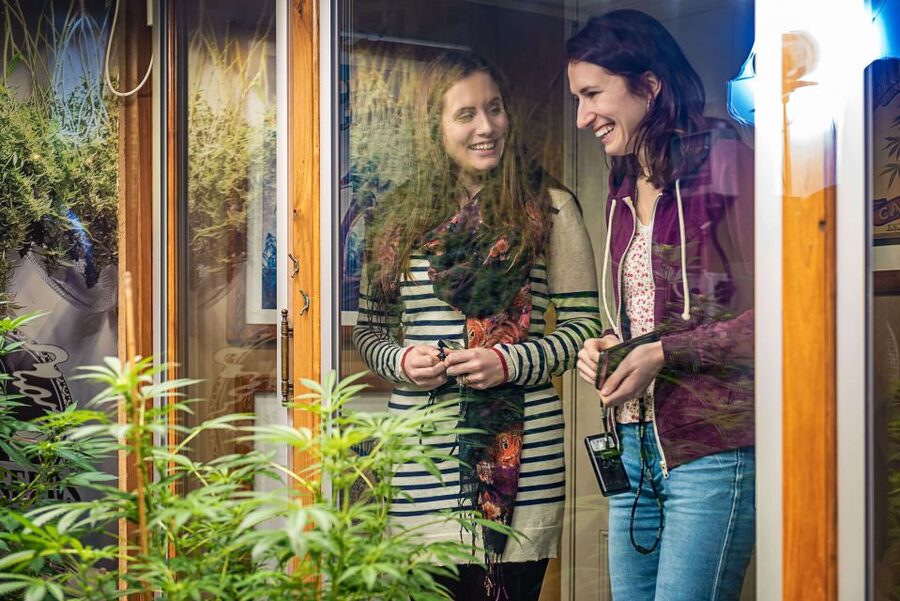 Amsterdam: Hash, Marihuana, and Hemp Museum Entry Ticket - Start with the collection of 9,000 cannabis objects