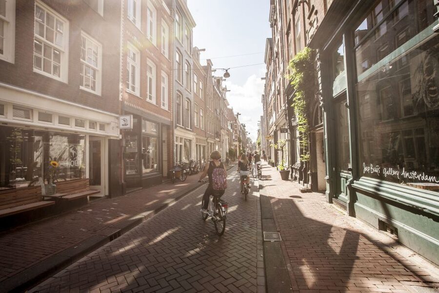 Amsterdam: Hidden Gems & Highlights Guided Bike Tour - Vondelpark Brings a Quieter Stretch