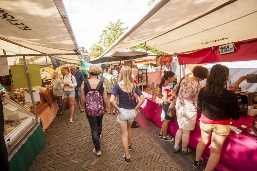 Amsterdam: Hidden Gems & Highlights Guided Bike Tour - Group Size, Timing, and Value at $44