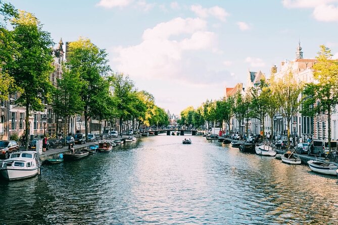 Amsterdam Highlights Walking Tour - Dam Square: Amsterdam’s public stage