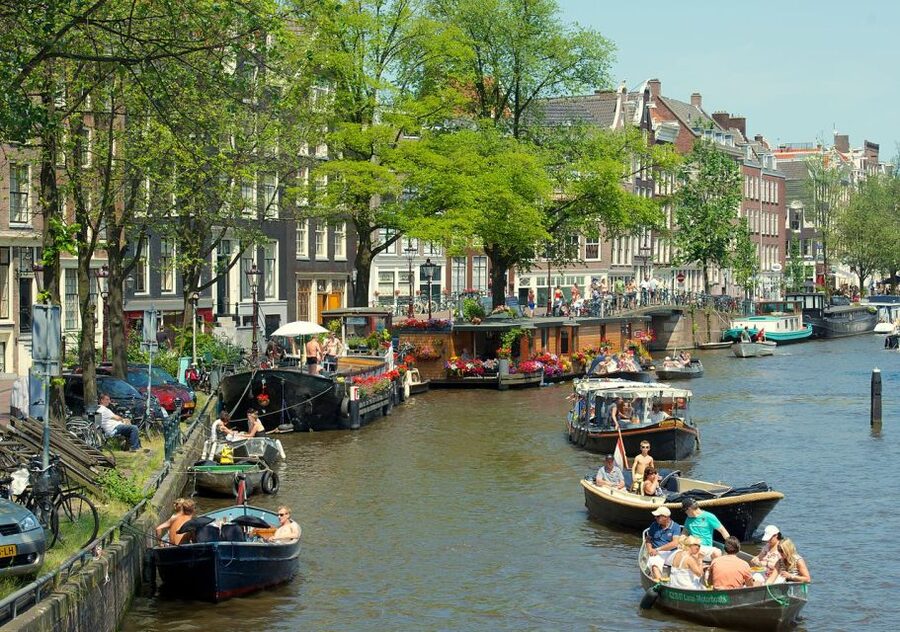 Amsterdam: Historic Walking Tour - What the guides add to the experience