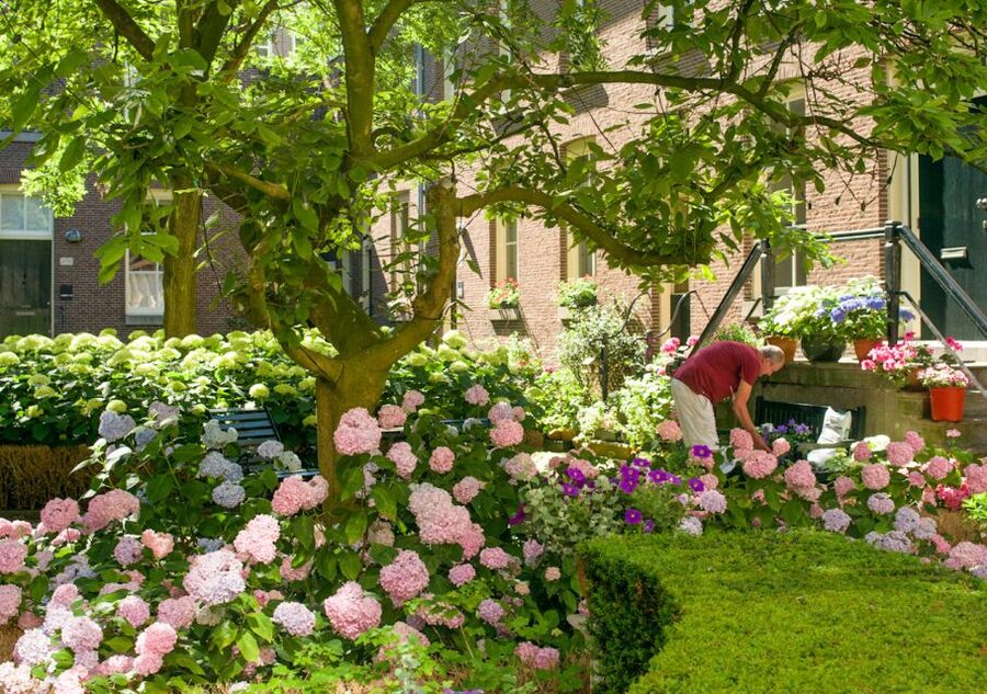 Amsterdam: Jordaan District Tour with a German guide - Noorderkerk and Het Papeneiland