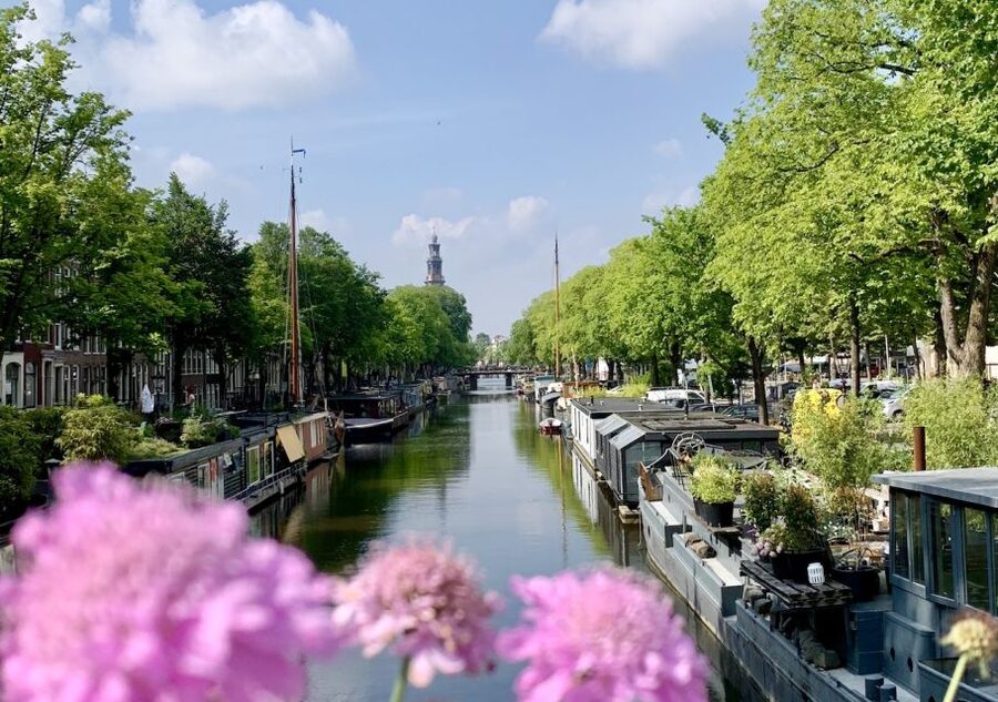 Amsterdam: Jordaan District Tour with a German guide - Is $27 a fair price?